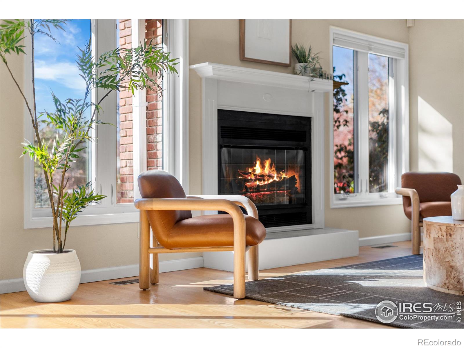 MLS Image #7 for 5220  desert pine court,boulder, Colorado