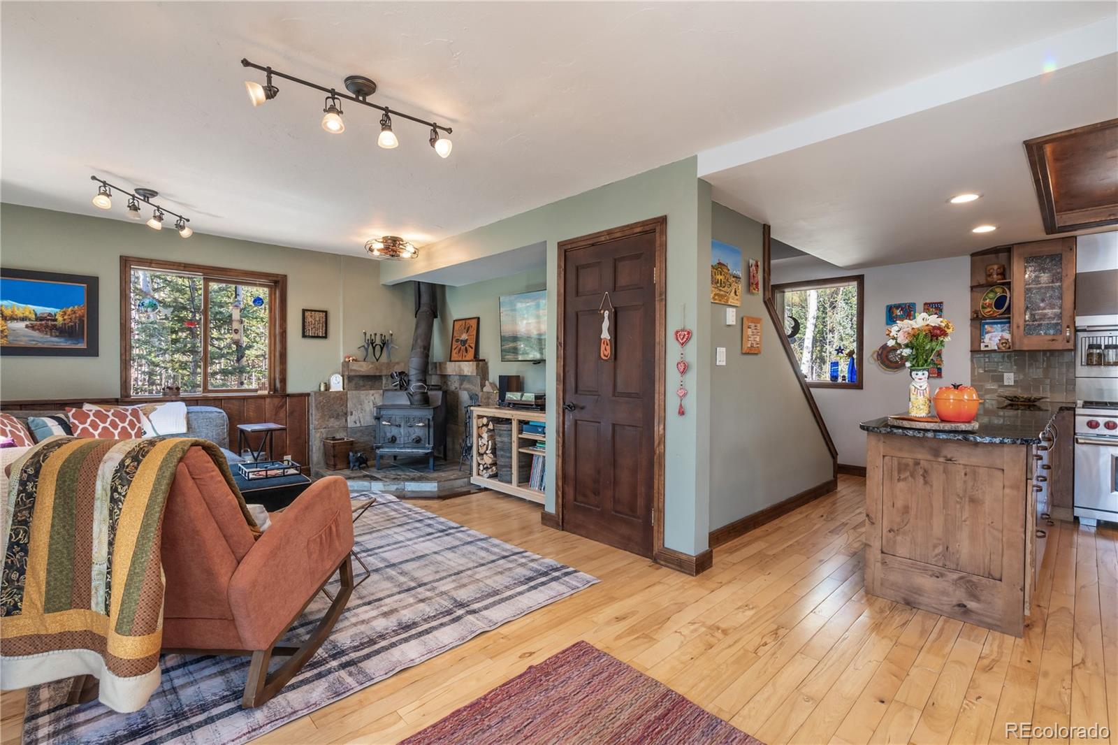 MLS Image #11 for 495  edgewood road,alma, Colorado
