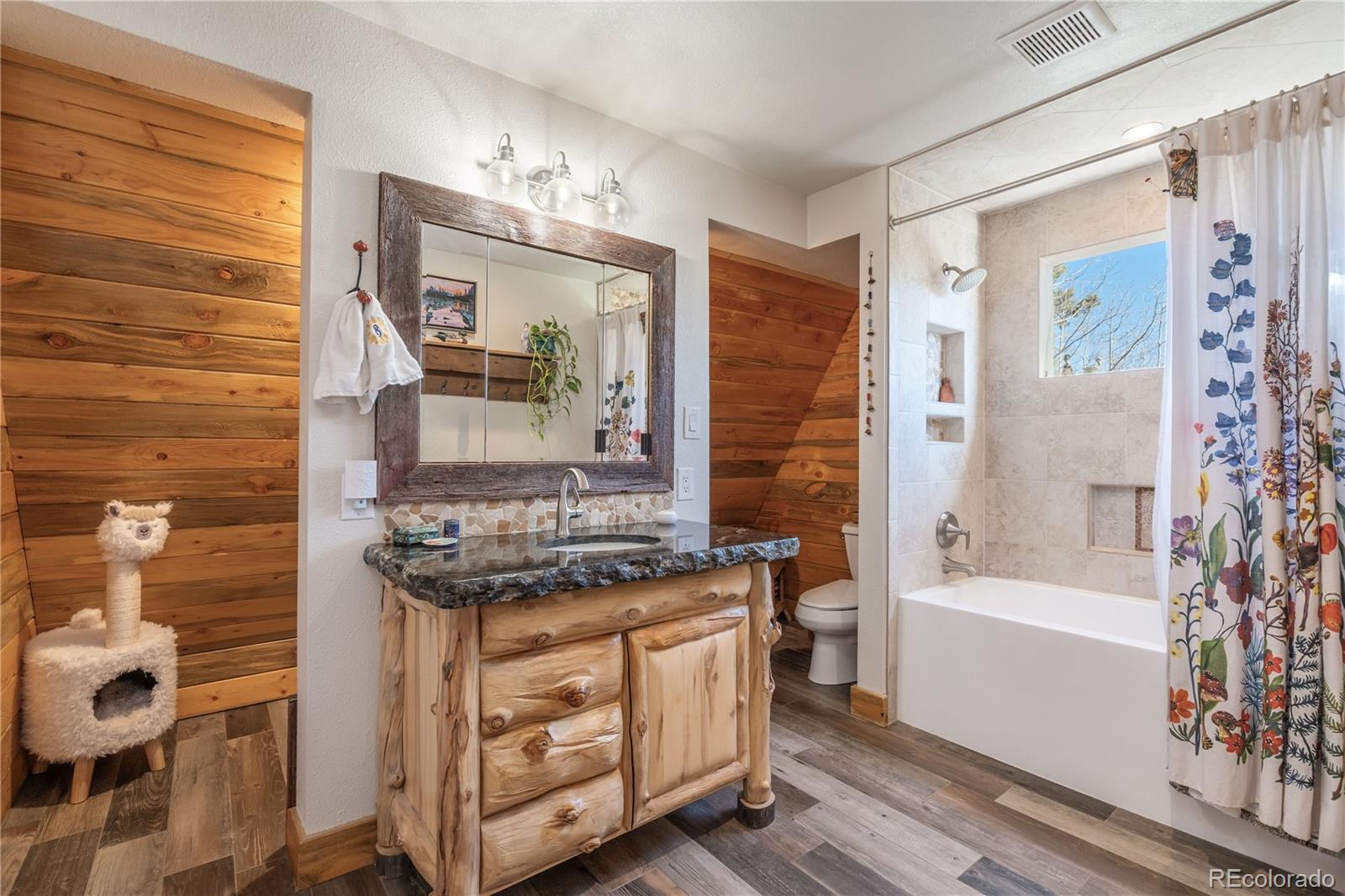 MLS Image #14 for 495  edgewood road,alma, Colorado