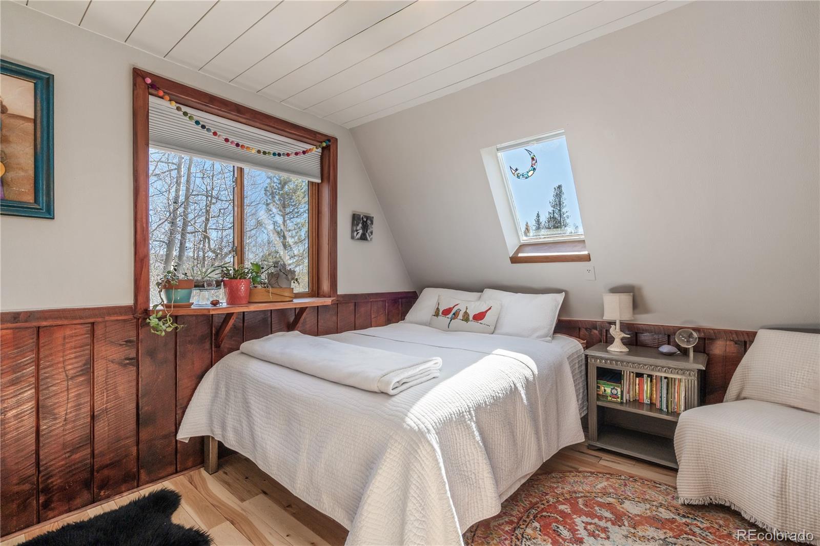 MLS Image #15 for 495  edgewood road,alma, Colorado