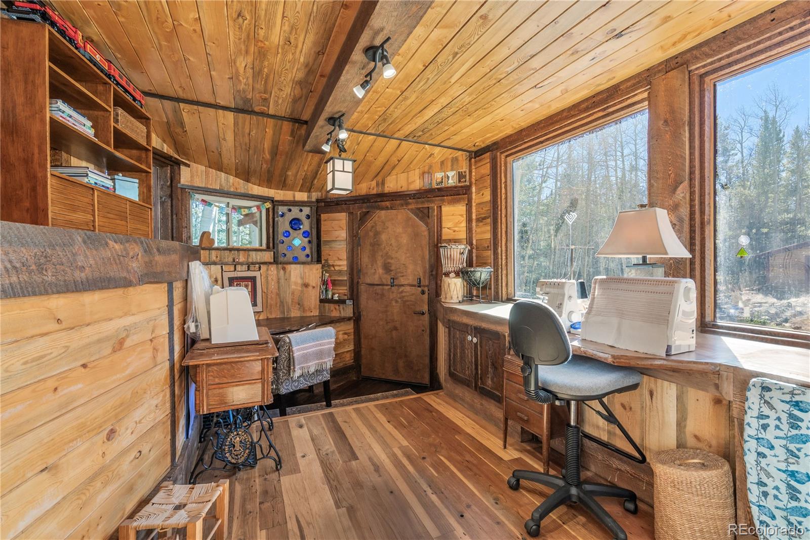 MLS Image #22 for 495  edgewood road,alma, Colorado