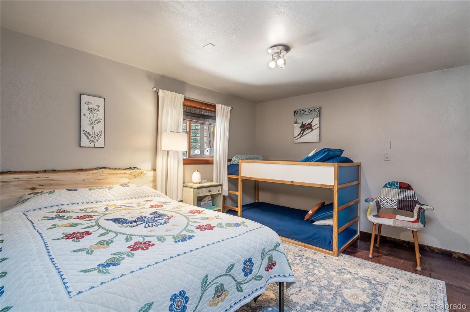 MLS Image #24 for 495  edgewood road,alma, Colorado