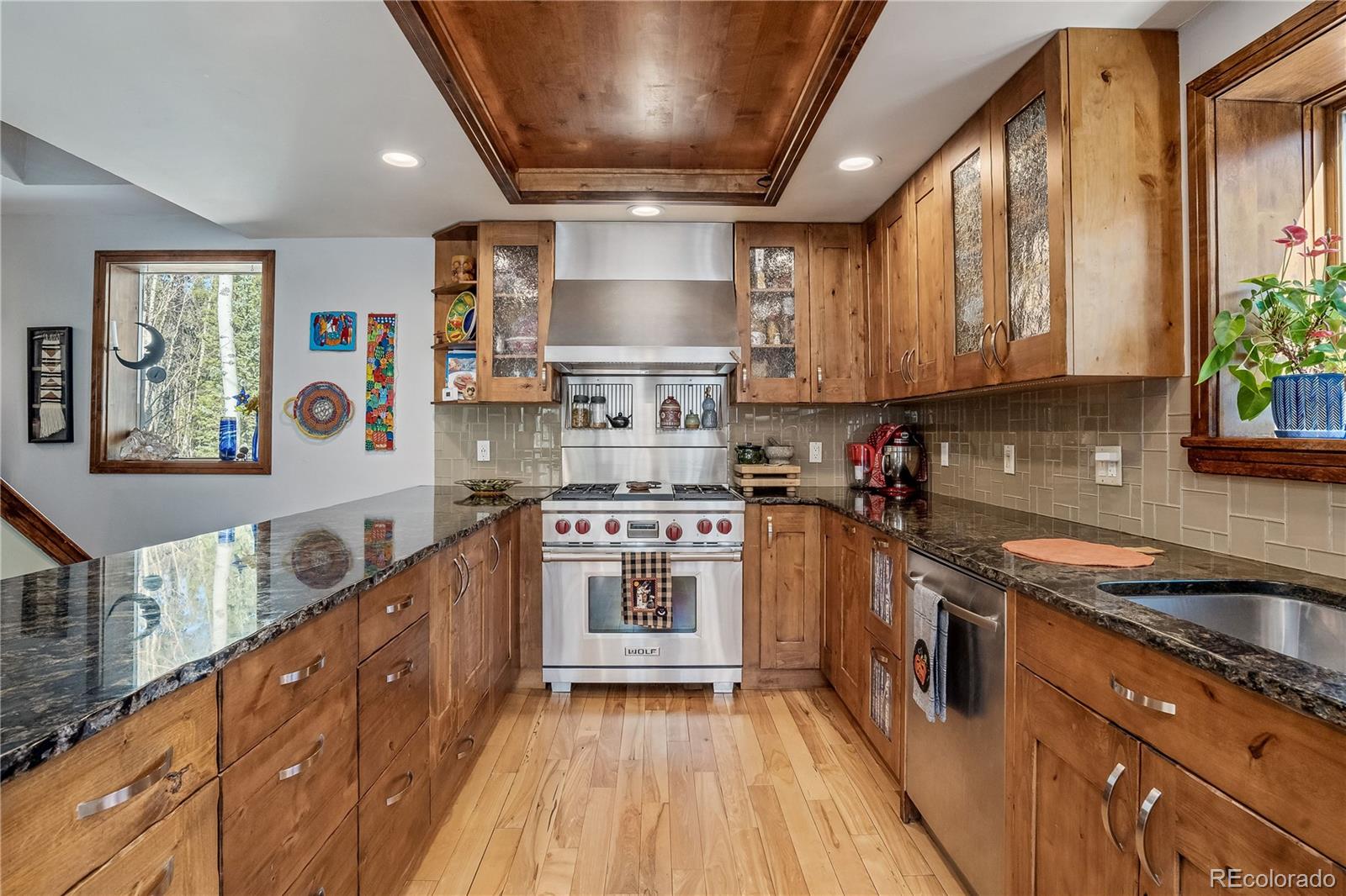 MLS Image #3 for 495  edgewood road,alma, Colorado