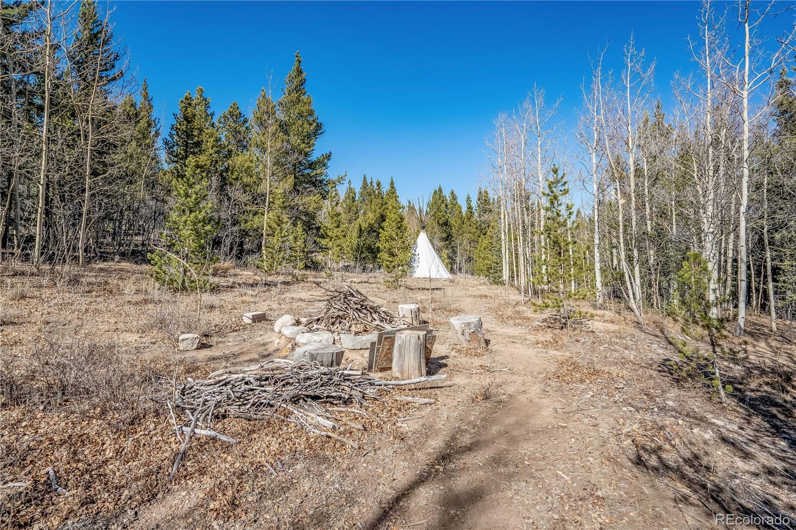 MLS Image #32 for 495  edgewood road,alma, Colorado