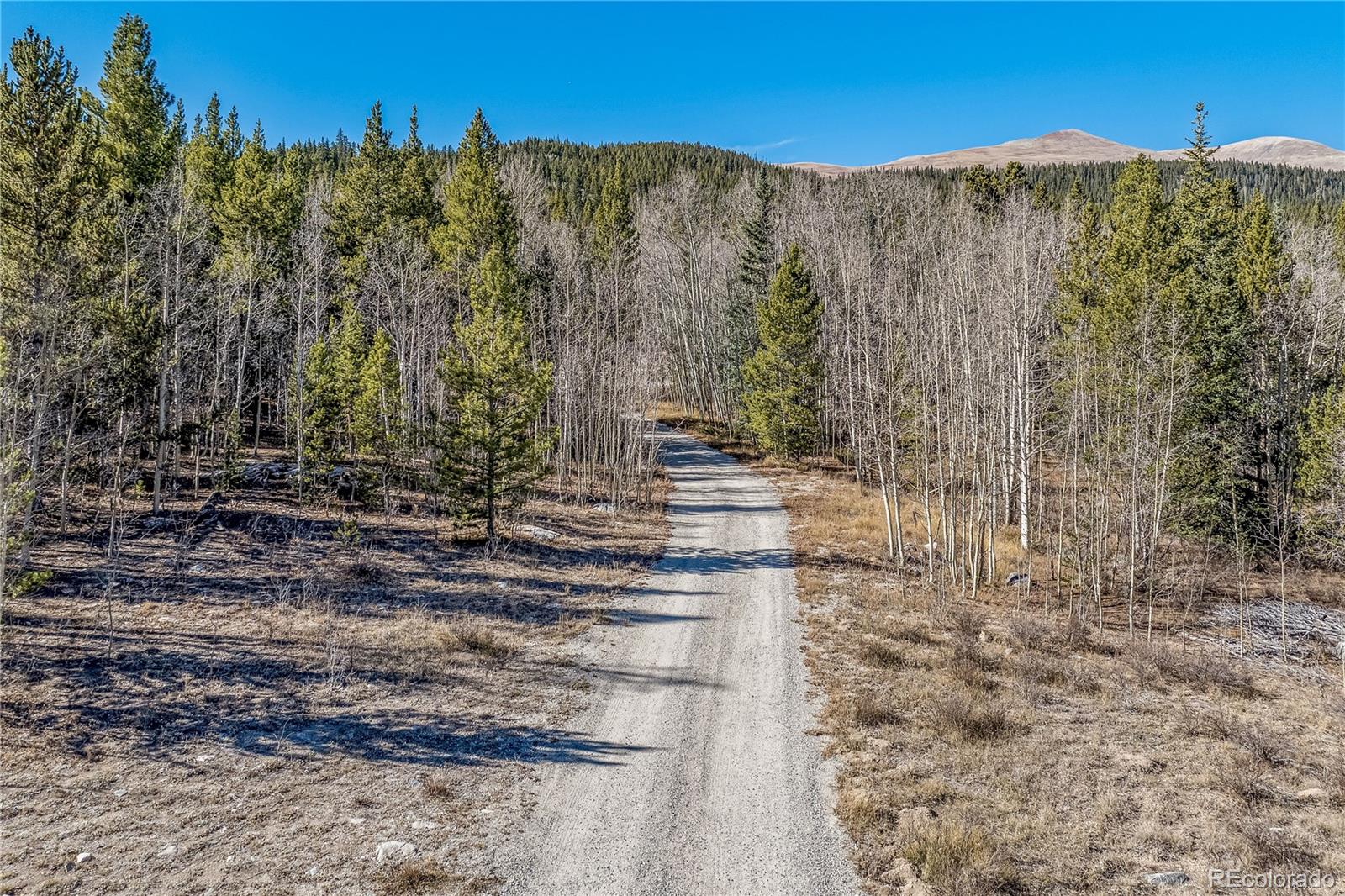 MLS Image #33 for 495  edgewood road,alma, Colorado