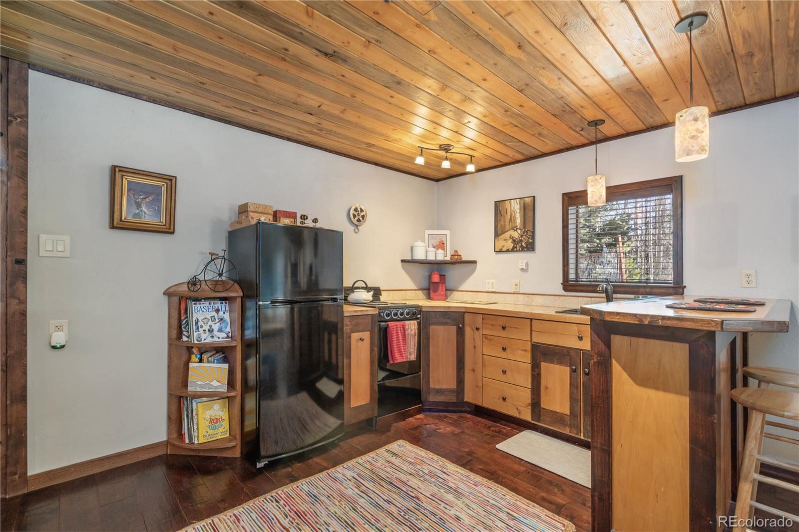 MLS Image #5 for 495  edgewood road,alma, Colorado