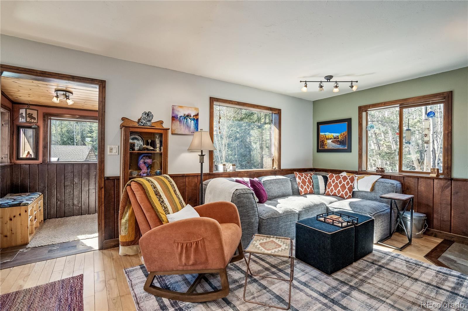 MLS Image #8 for 495  edgewood road,alma, Colorado