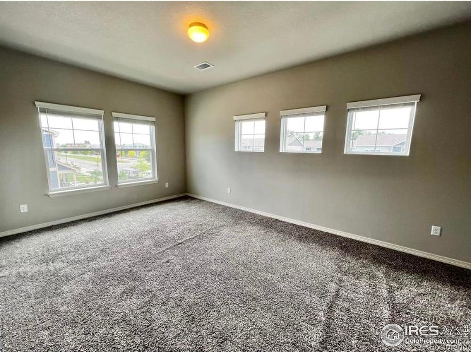 MLS Image #10 for 1688  grand avenue,windsor, Colorado