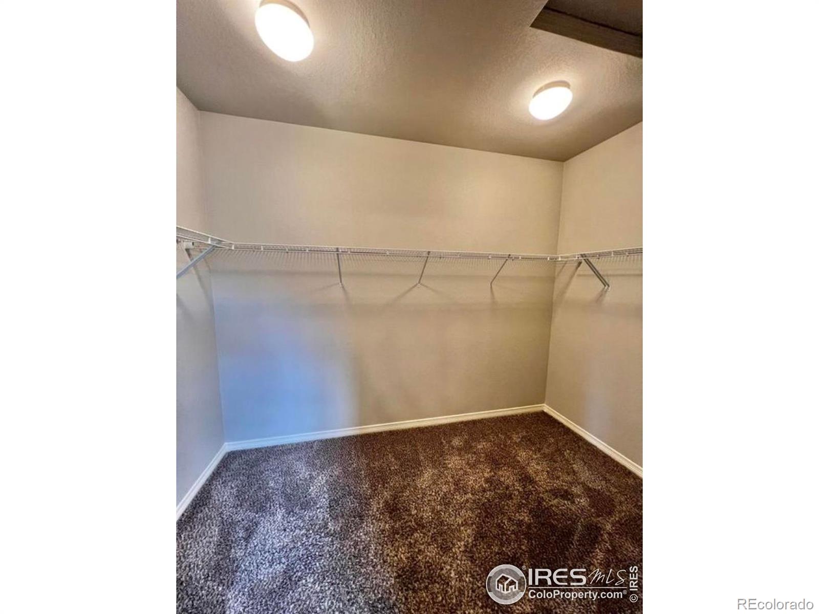 MLS Image #11 for 1688  grand avenue,windsor, Colorado