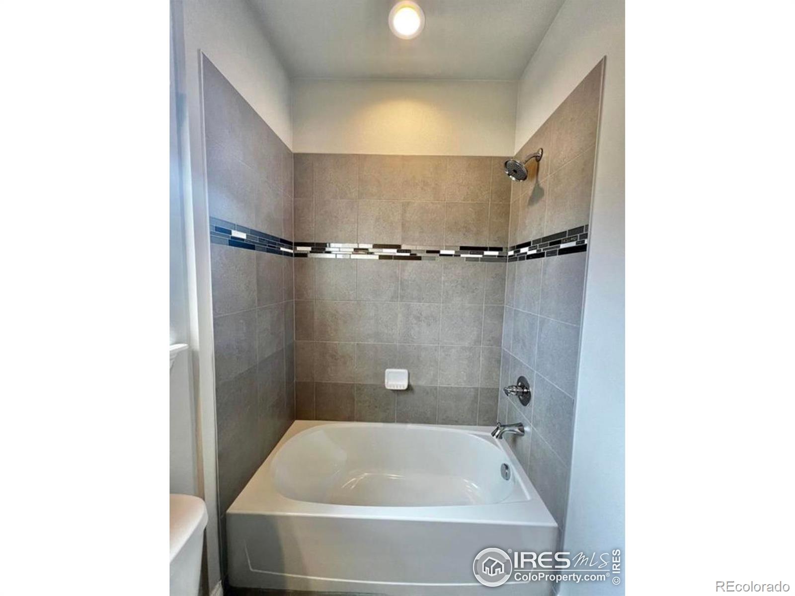 MLS Image #15 for 1688  grand avenue,windsor, Colorado