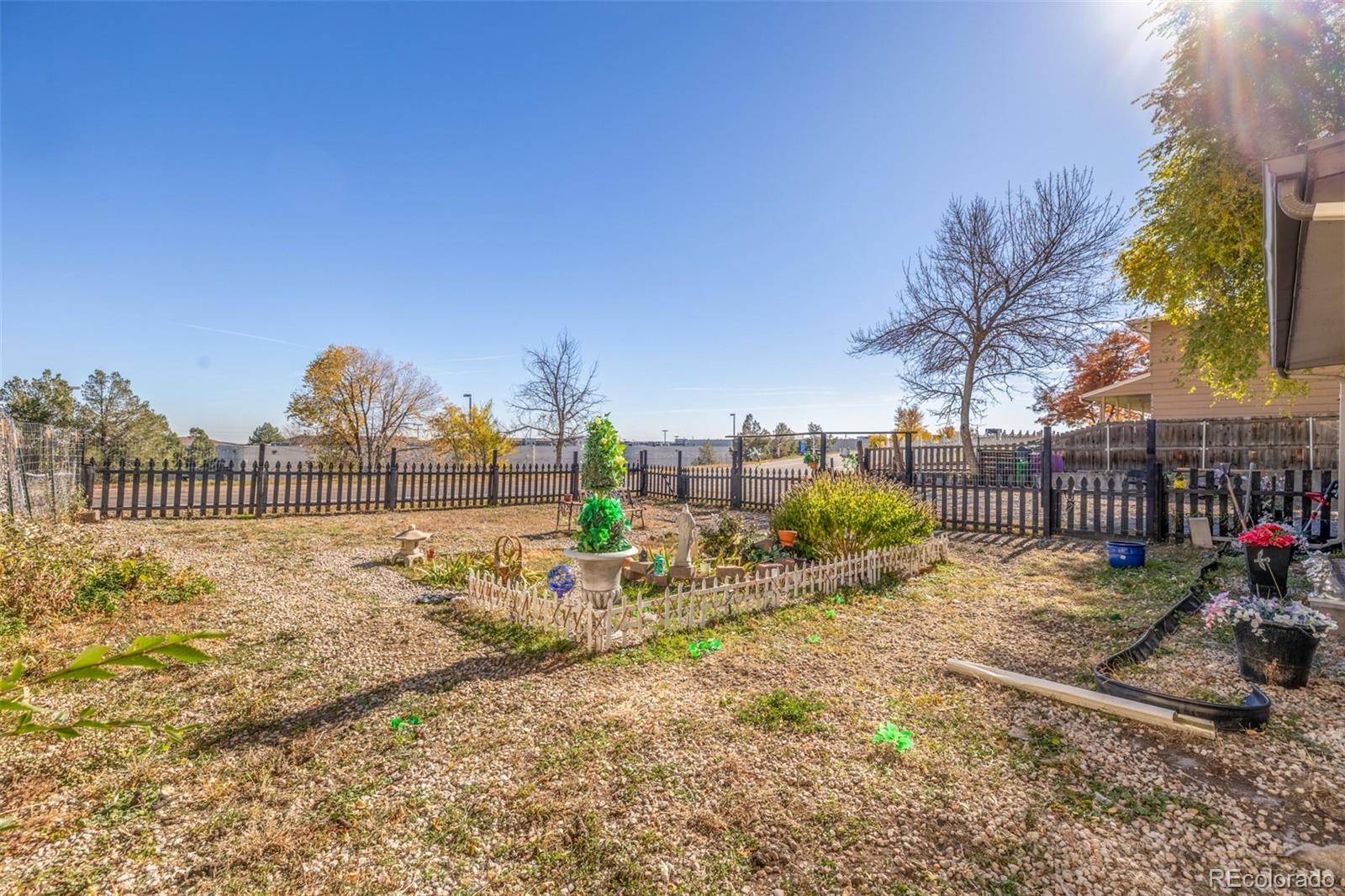 MLS Image #26 for 1679  robb street,lakewood, Colorado