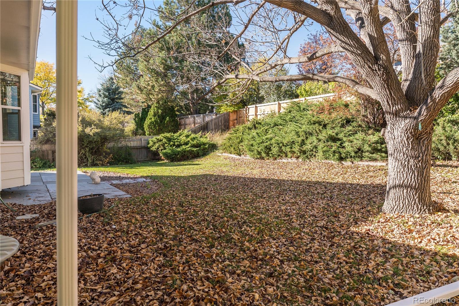 MLS Image #32 for 4661 s wolff street,denver, Colorado