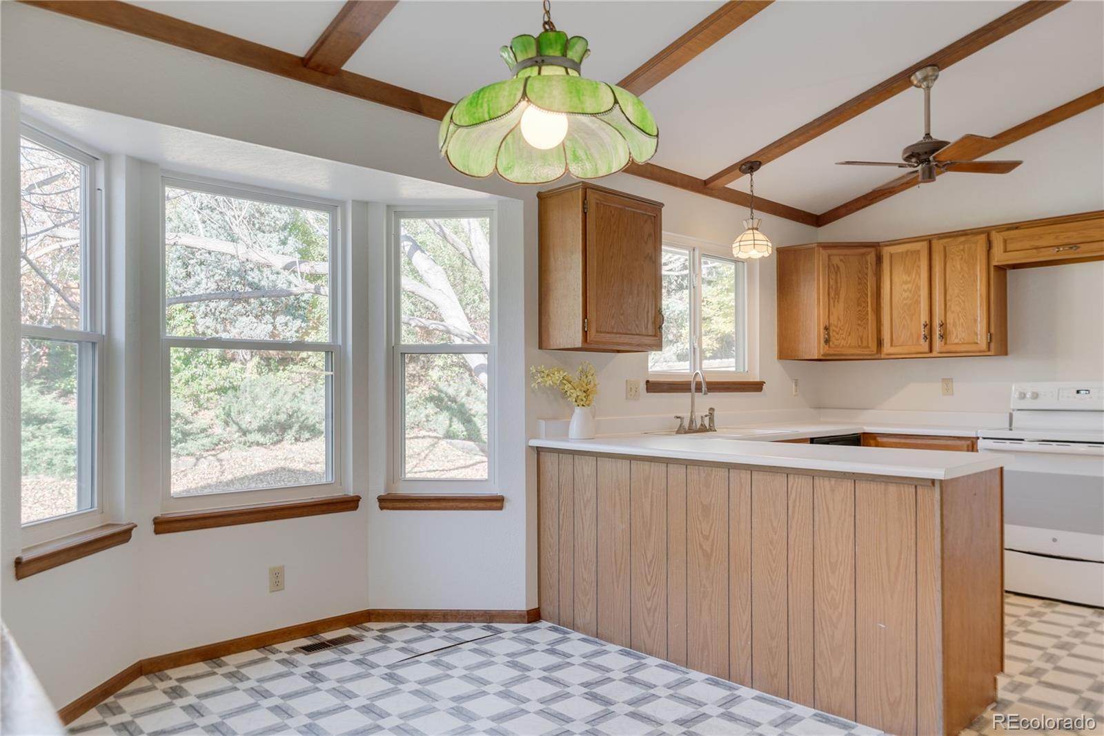 MLS Image #9 for 4661 s wolff street,denver, Colorado
