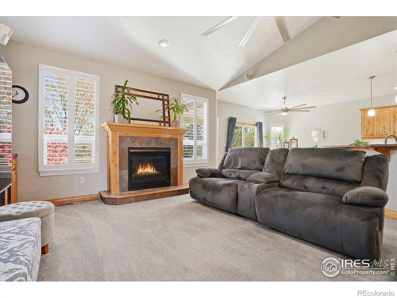 MLS Image #14 for 1110  green ridge drive,severance, Colorado