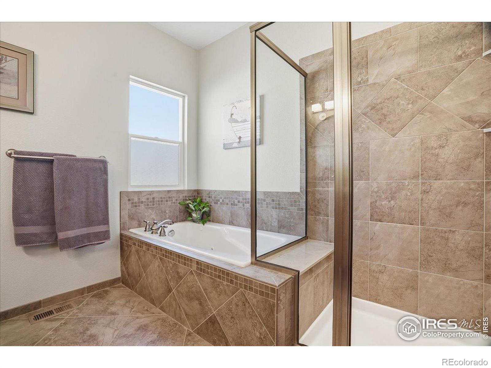 MLS Image #18 for 1110  green ridge drive,severance, Colorado