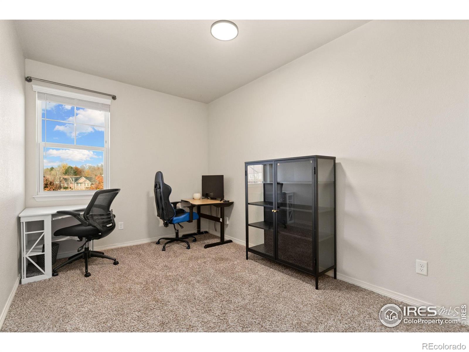 MLS Image #18 for 865  winding brook drive,berthoud, Colorado