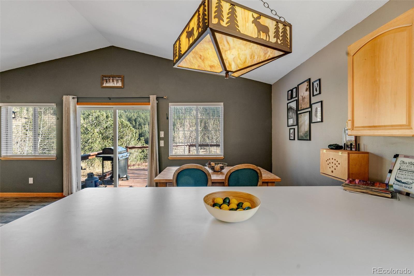 MLS Image #10 for 20  spur road,divide, Colorado
