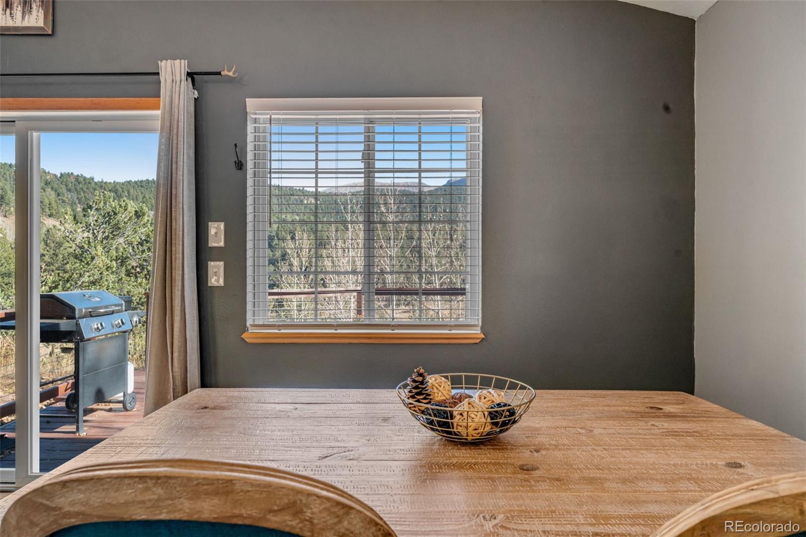 MLS Image #11 for 20  spur road,divide, Colorado