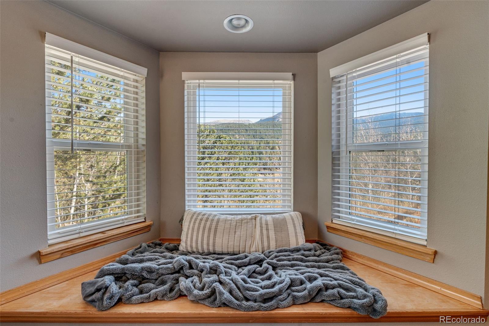 MLS Image #19 for 20  spur road,divide, Colorado