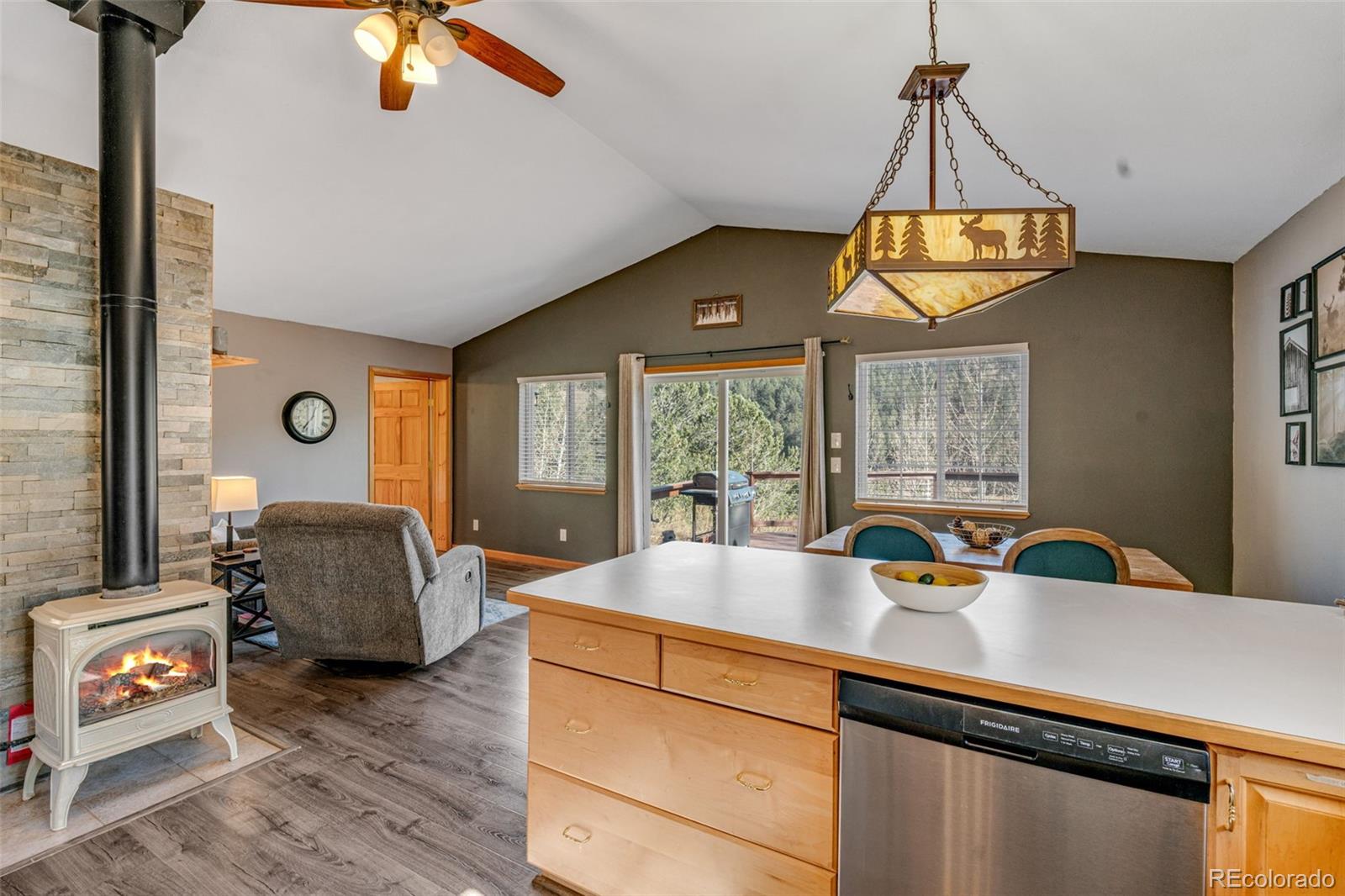 MLS Image #21 for 20  spur road,divide, Colorado