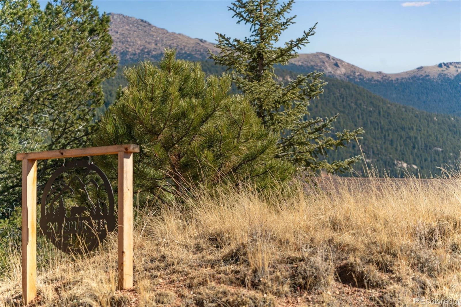 MLS Image #24 for 20  spur road,divide, Colorado