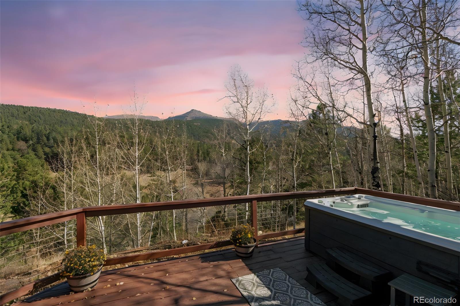 MLS Image #29 for 20  spur road,divide, Colorado
