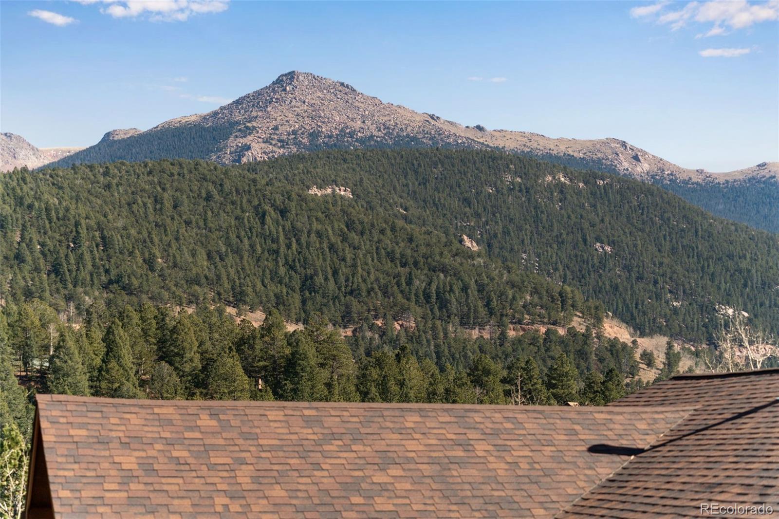 MLS Image #34 for 20  spur road,divide, Colorado
