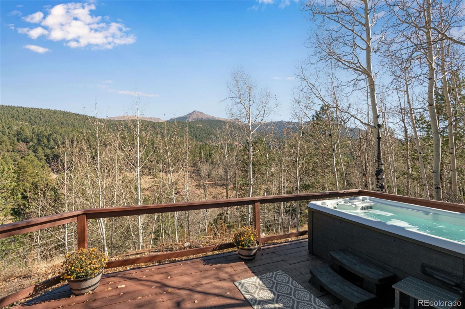 MLS Image #5 for 20  spur road,divide, Colorado
