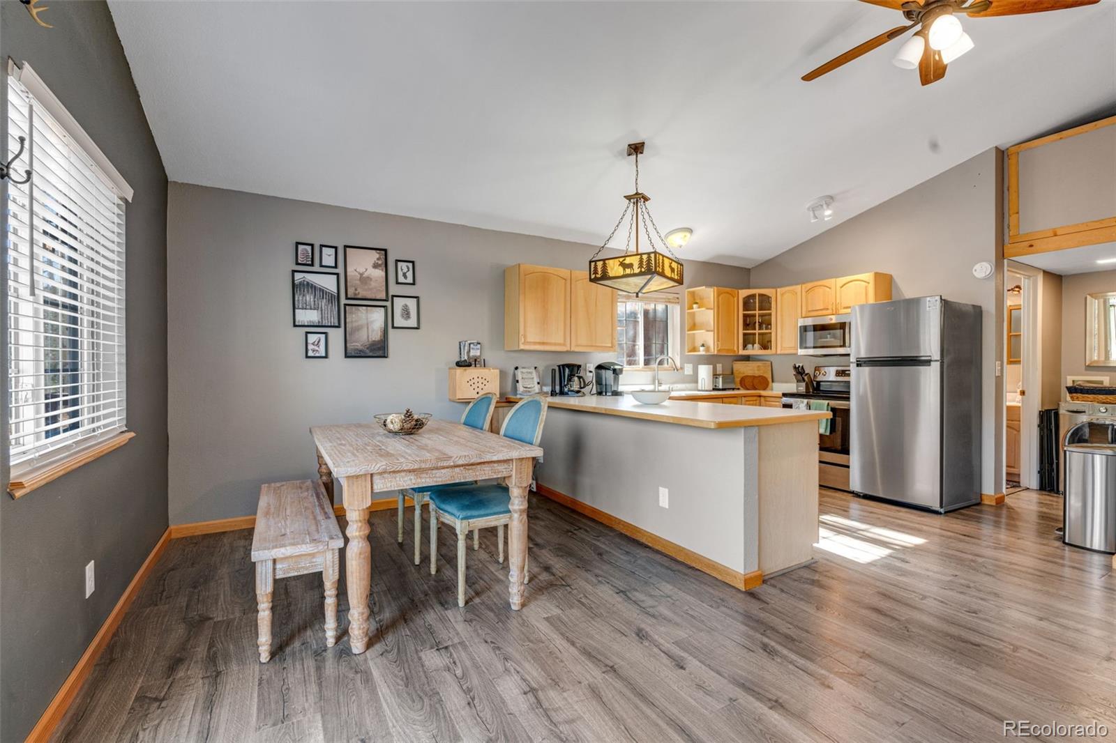 MLS Image #7 for 20  spur road,divide, Colorado