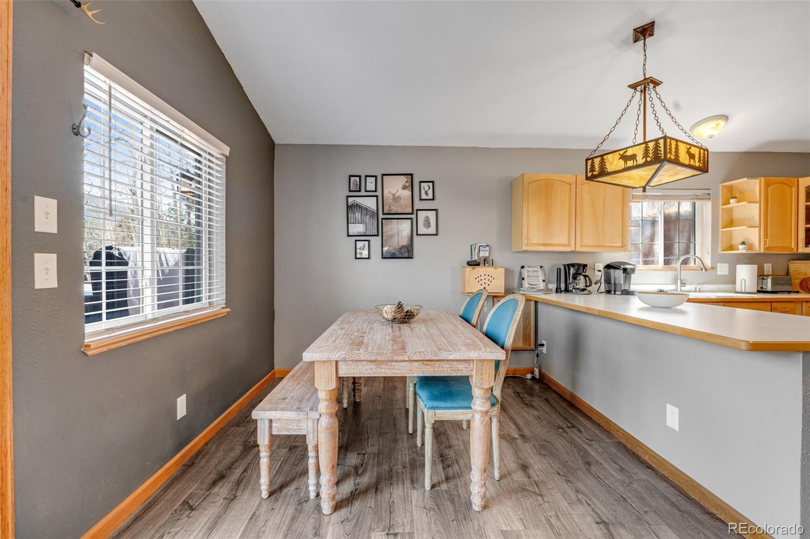 MLS Image #8 for 20  spur road,divide, Colorado