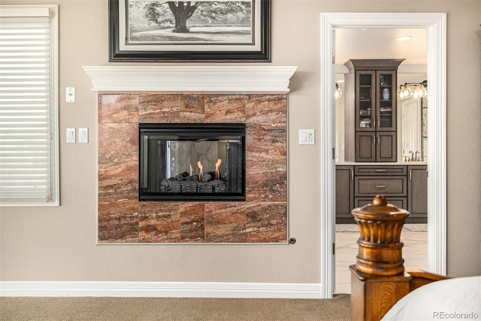 MLS Image #16 for 942  aztec drive,castle rock, Colorado