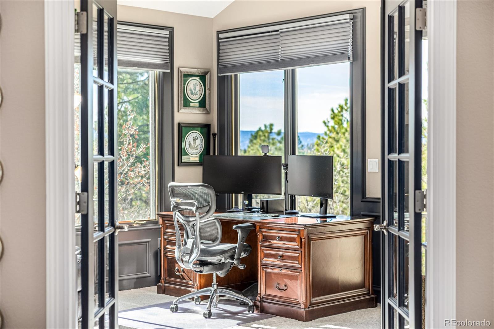 MLS Image #25 for 942  aztec drive,castle rock, Colorado
