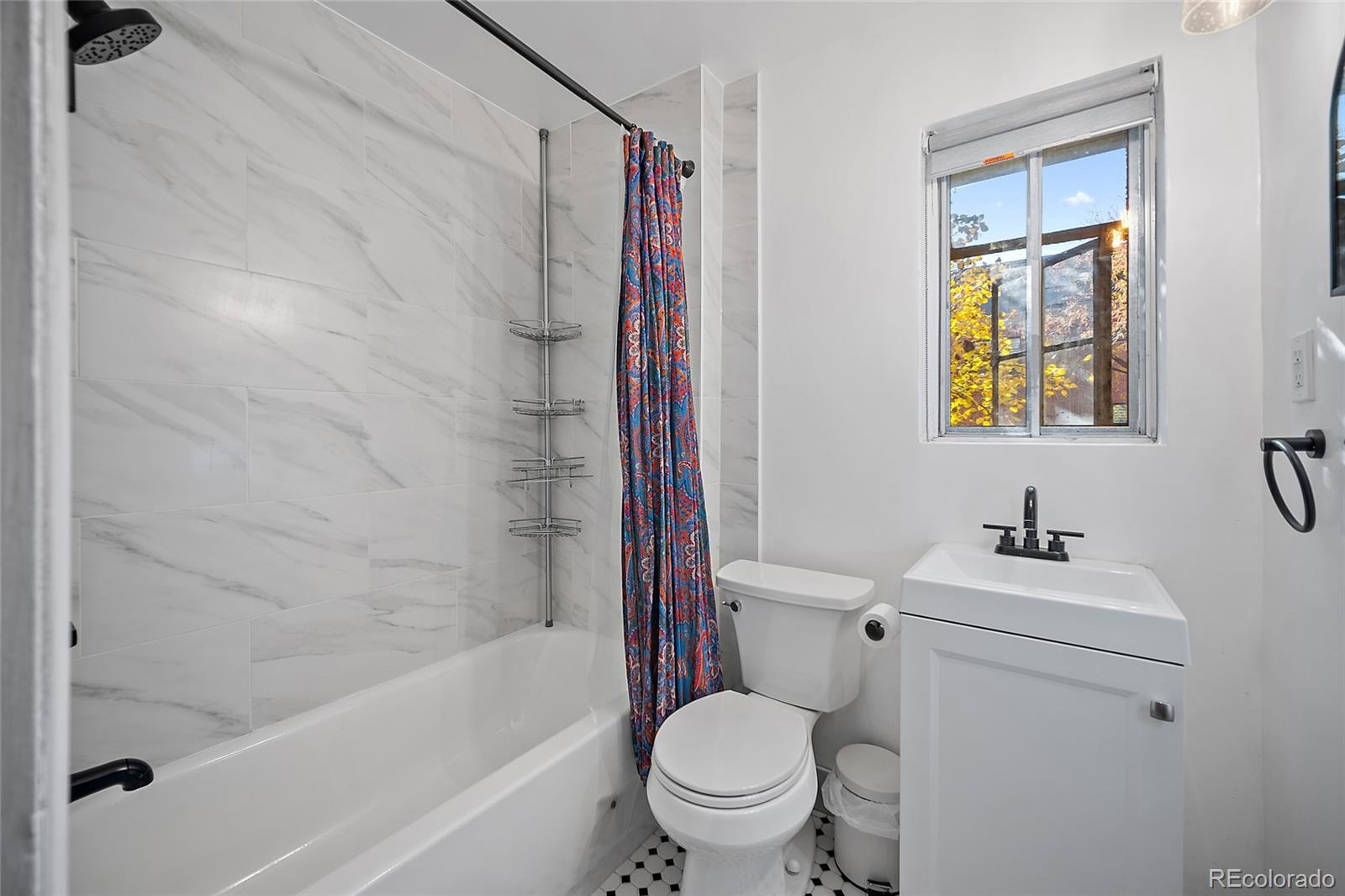 MLS Image #10 for 1410  vine street,denver, Colorado