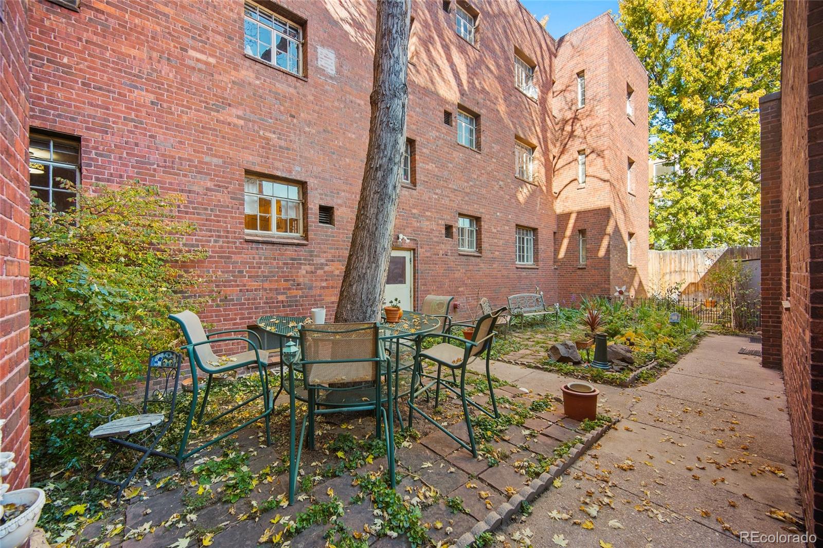 MLS Image #20 for 1410  vine street,denver, Colorado