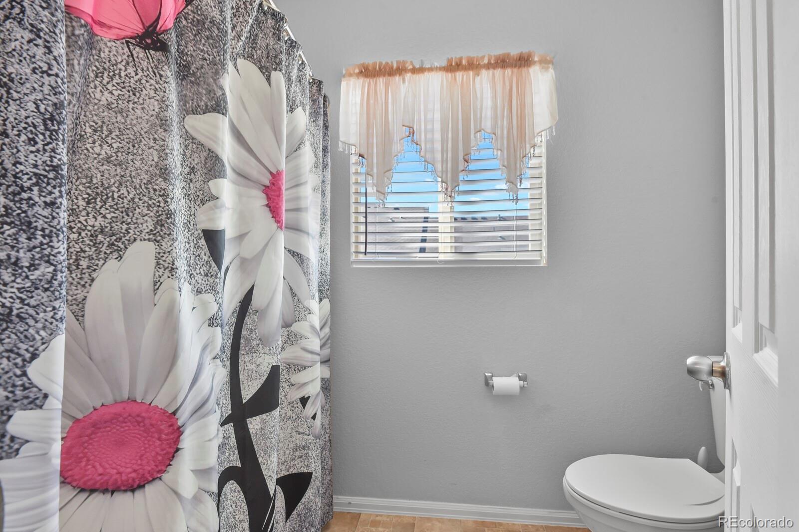 MLS Image #10 for 214  blue bonnet drive ,brighton, Colorado