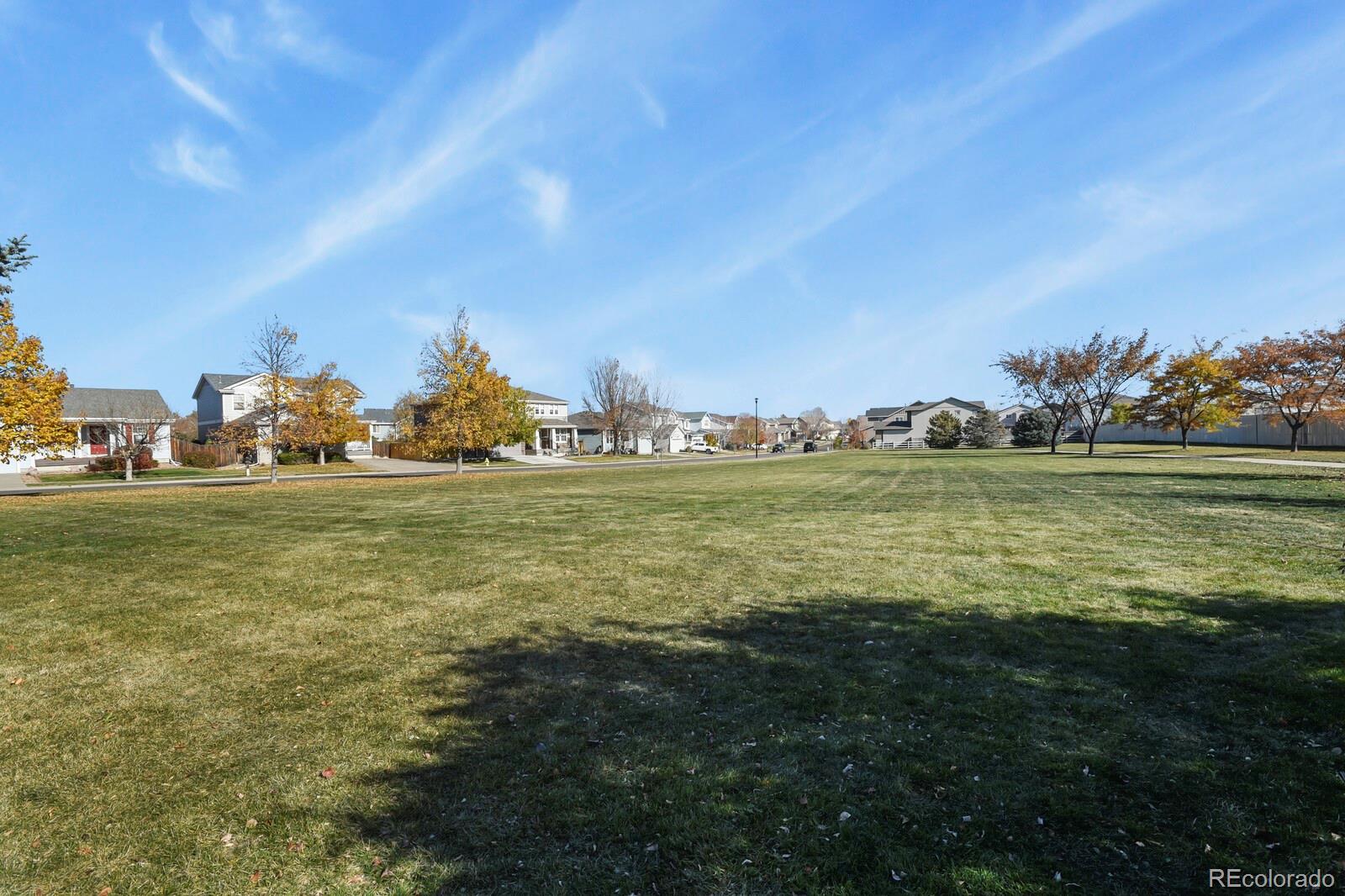 MLS Image #29 for 214  blue bonnet drive ,brighton, Colorado