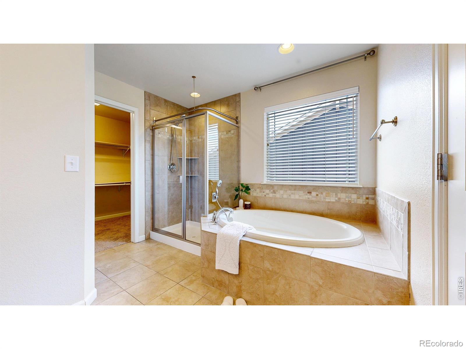 MLS Image #15 for 6748  rainier road,timnath, Colorado
