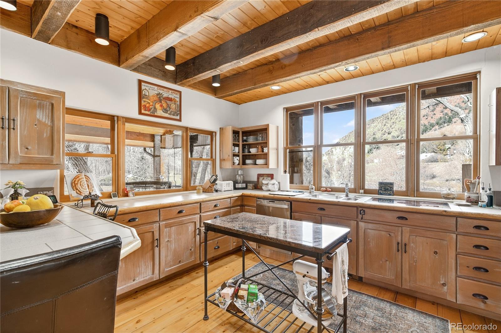 MLS Image #12 for 182  county road 109 ,glenwood springs, Colorado