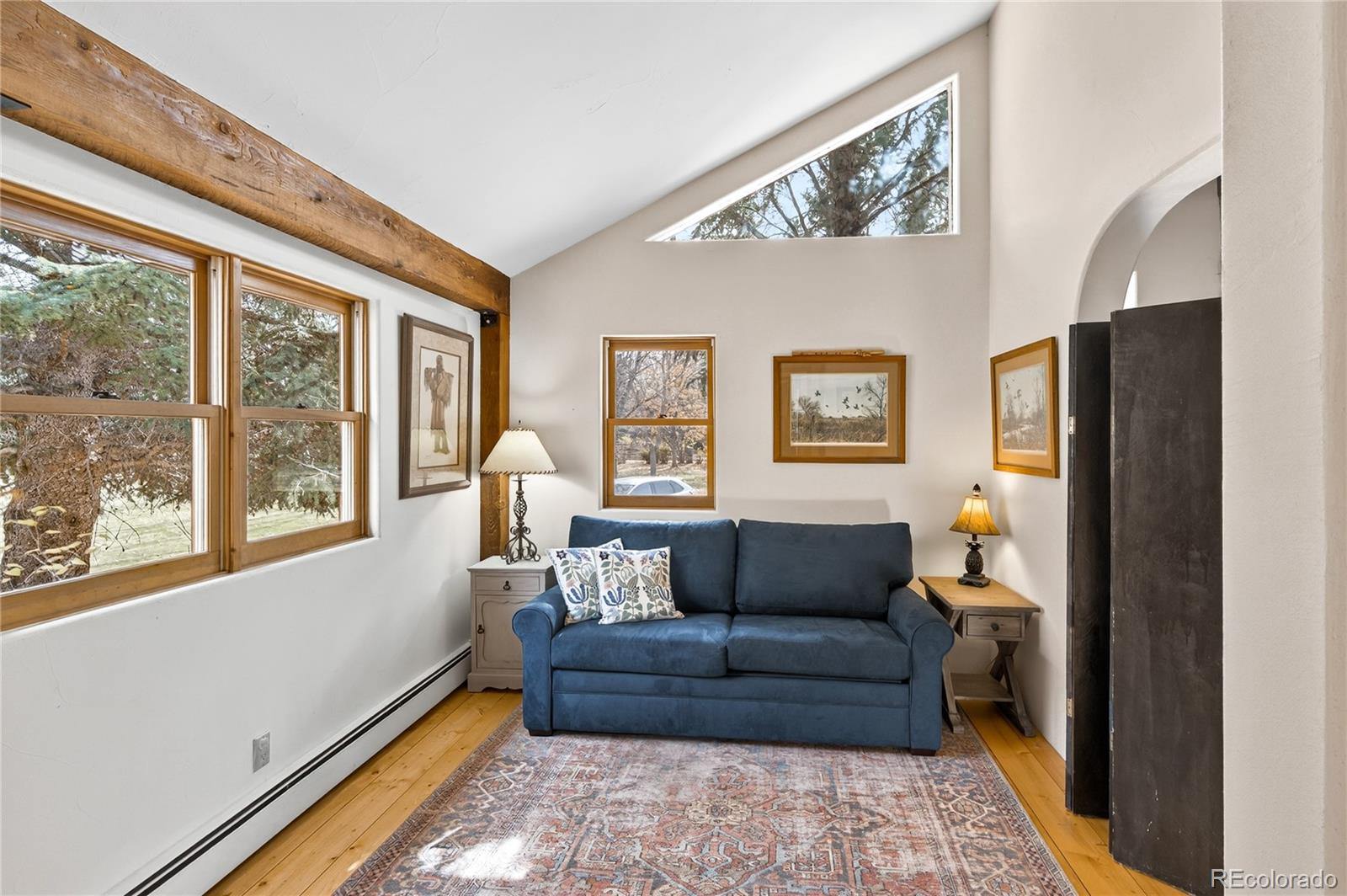 MLS Image #17 for 182  county road 109 ,glenwood springs, Colorado