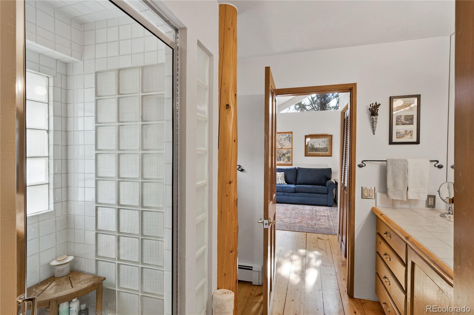 MLS Image #18 for 182  county road 109 ,glenwood springs, Colorado