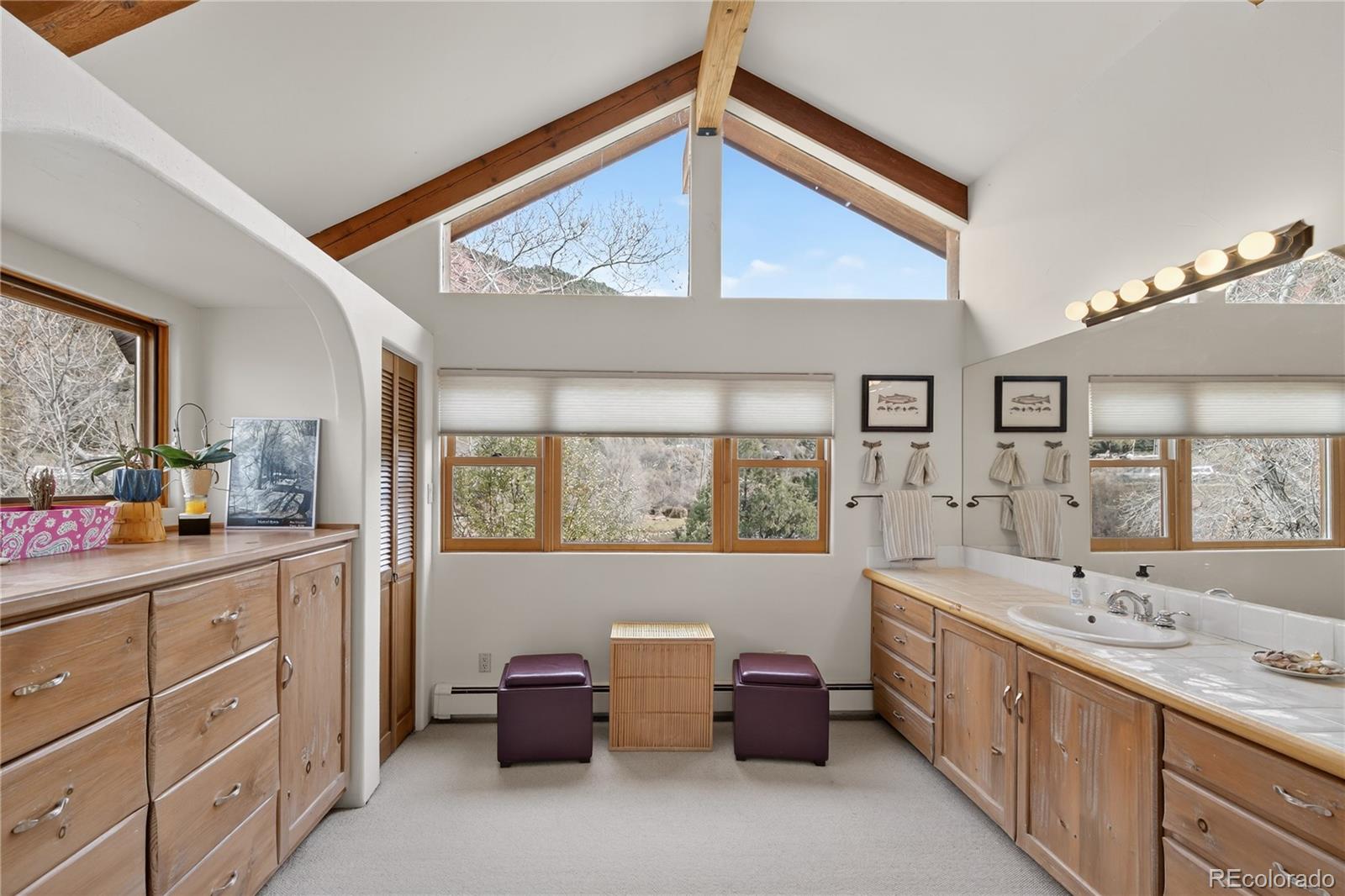 MLS Image #26 for 182  county road 109 ,glenwood springs, Colorado
