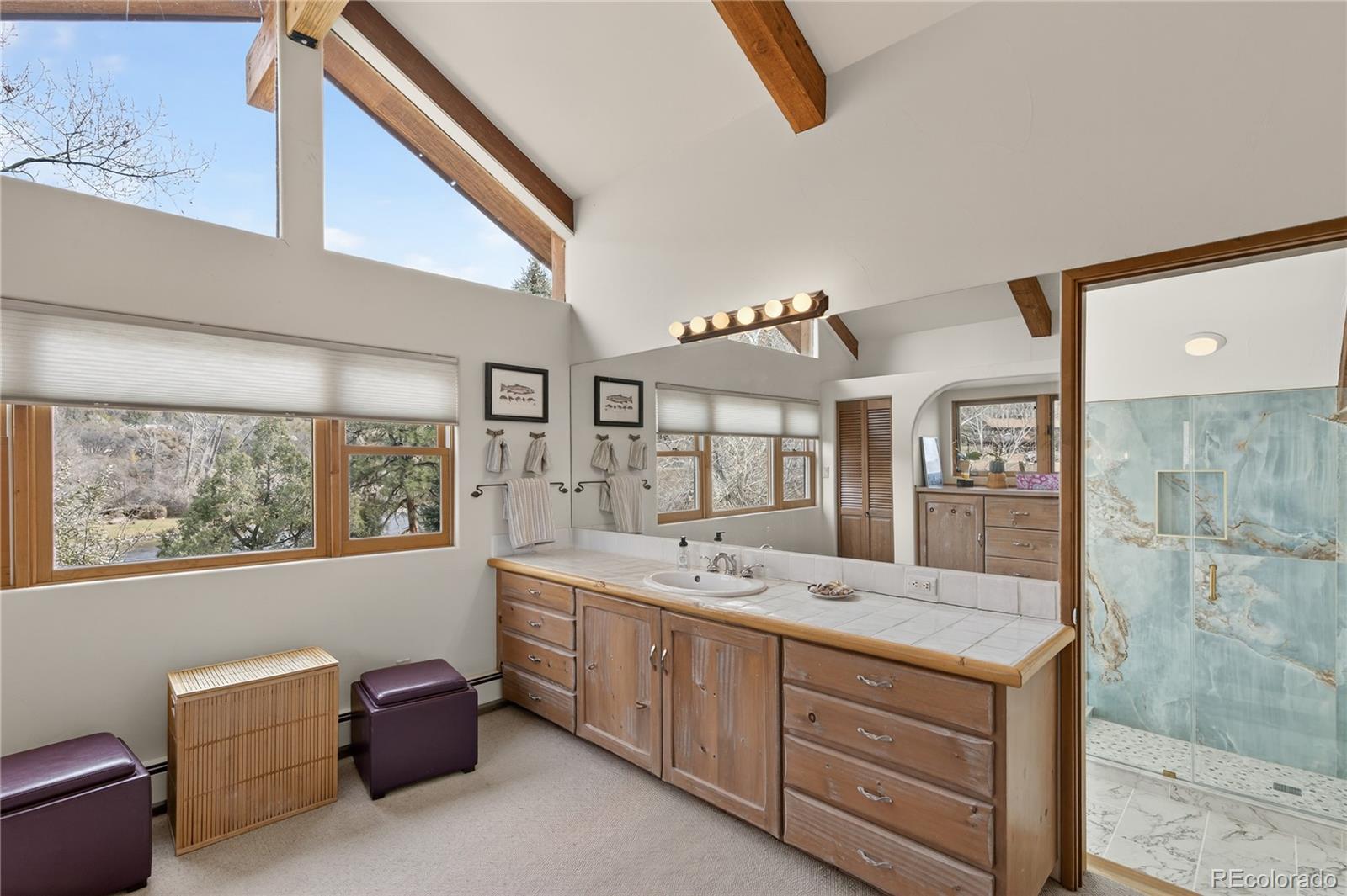 MLS Image #27 for 182  county road 109 ,glenwood springs, Colorado