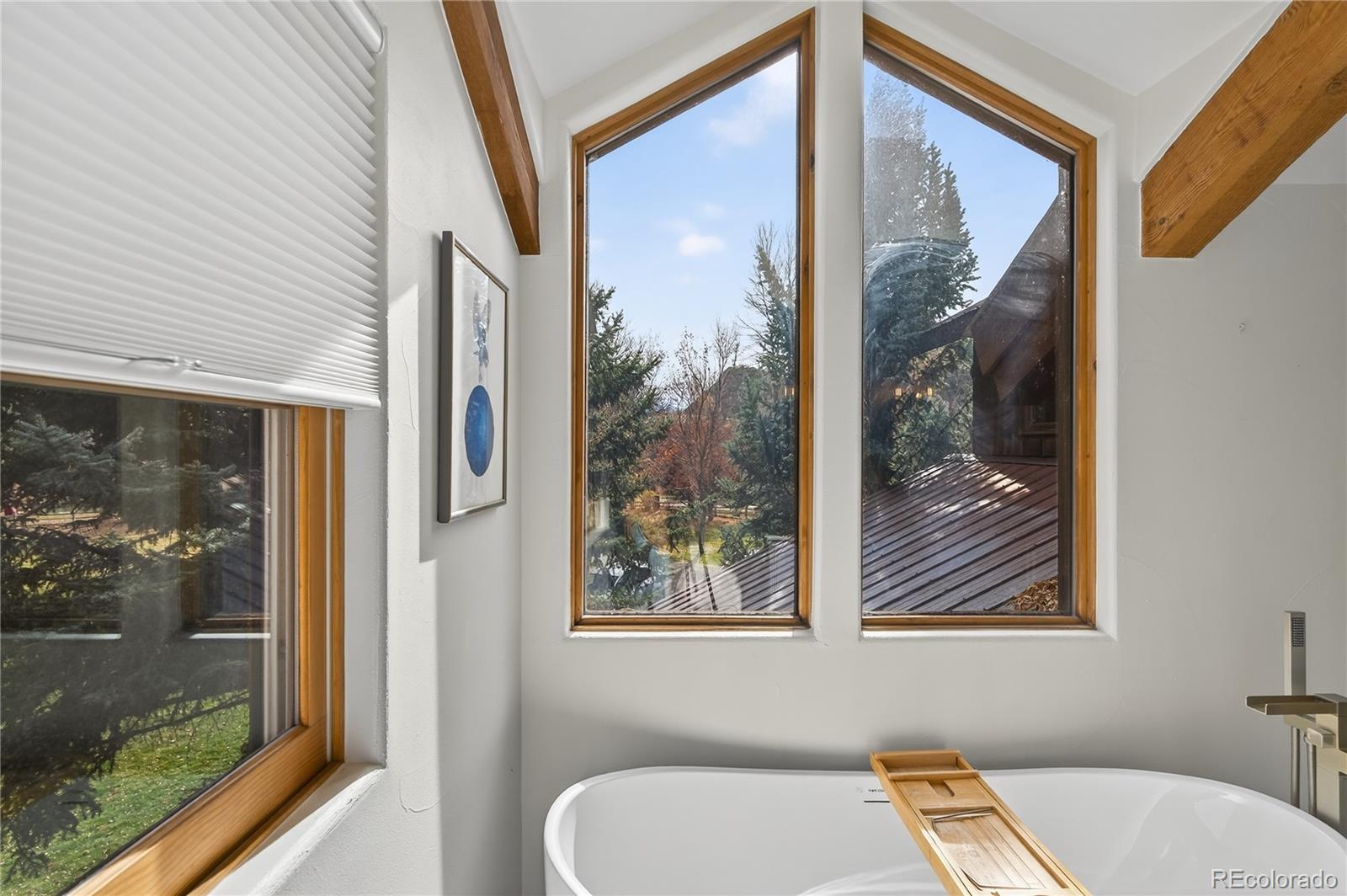 MLS Image #30 for 182  county road 109 ,glenwood springs, Colorado