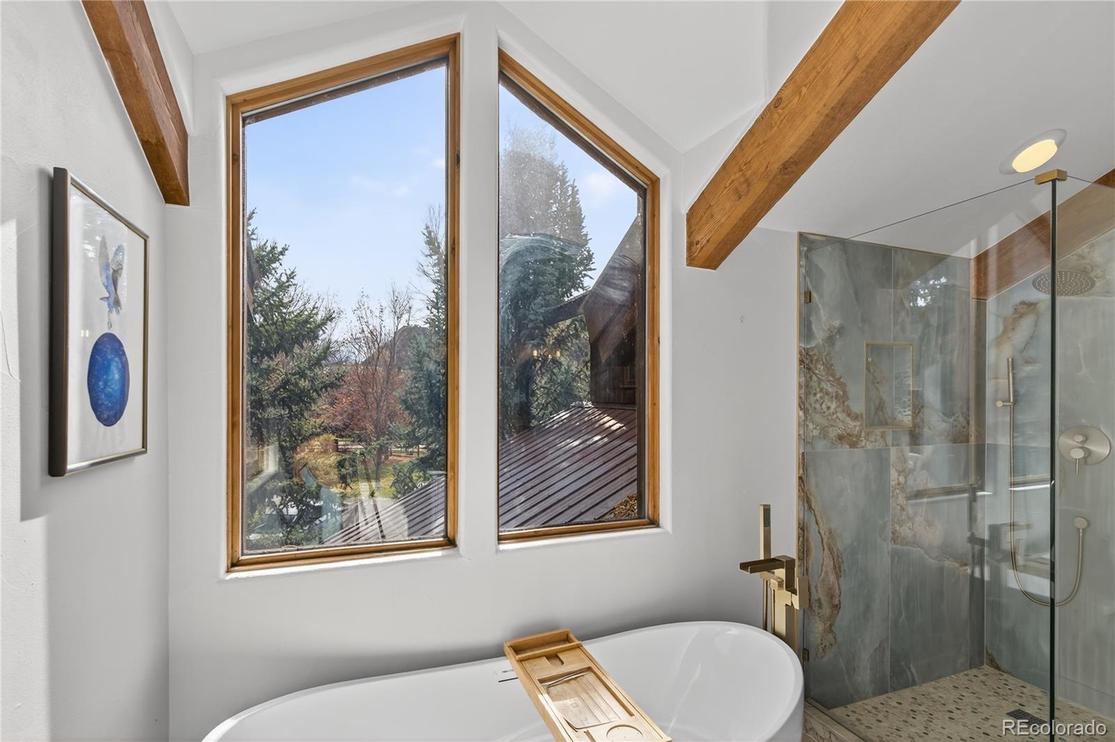 MLS Image #31 for 182  county road 109 ,glenwood springs, Colorado