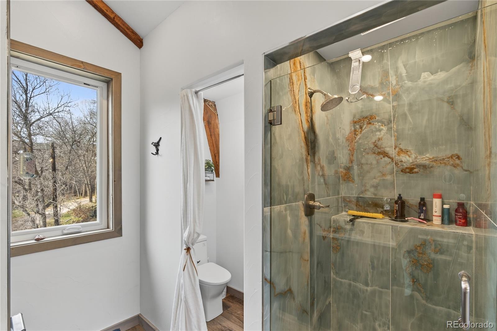 MLS Image #34 for 182  county road 109 ,glenwood springs, Colorado