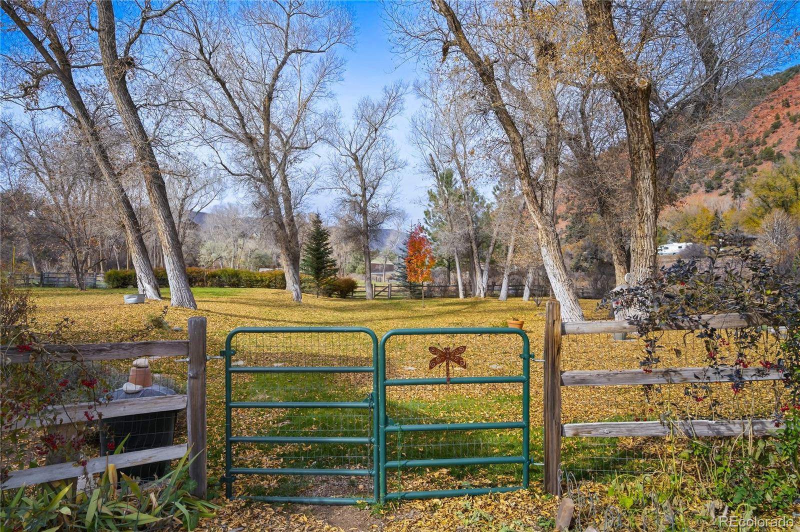 MLS Image #44 for 182  county road 109 ,glenwood springs, Colorado