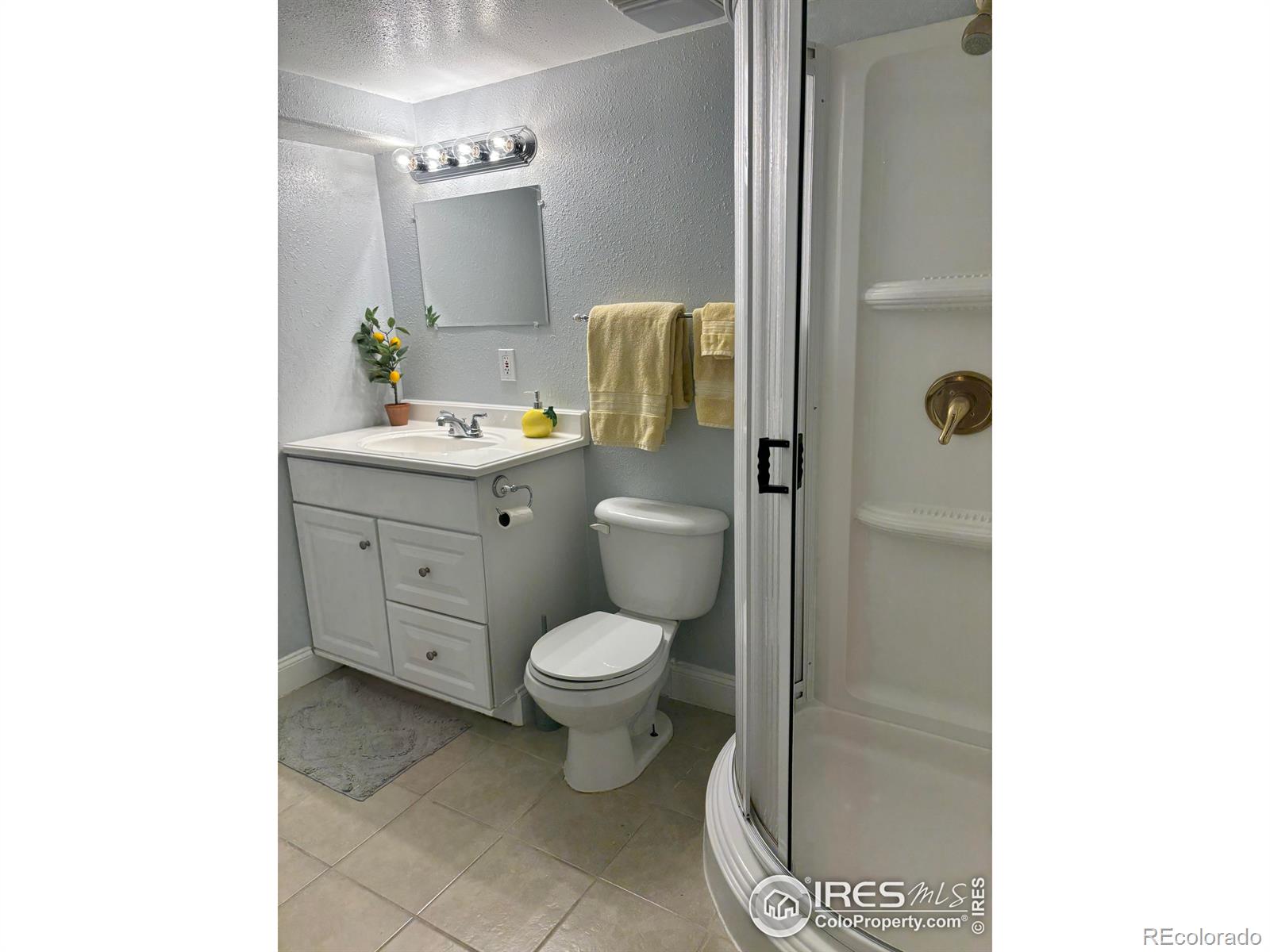 MLS Image #21 for 5965  thistle ridge avenue,firestone, Colorado