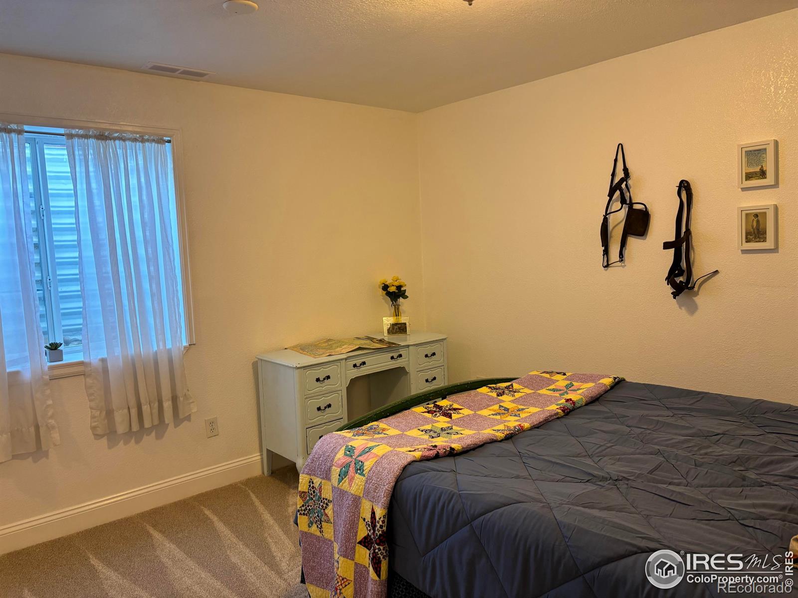 MLS Image #22 for 5965  thistle ridge avenue,firestone, Colorado
