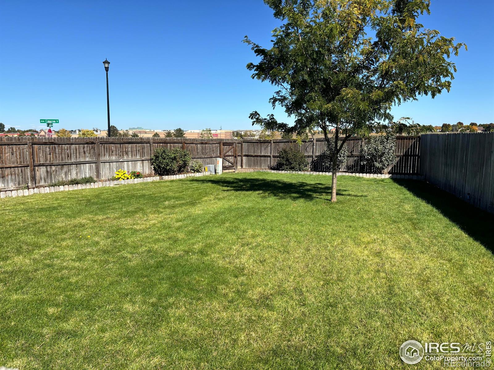 MLS Image #33 for 5965  thistle ridge avenue,firestone, Colorado