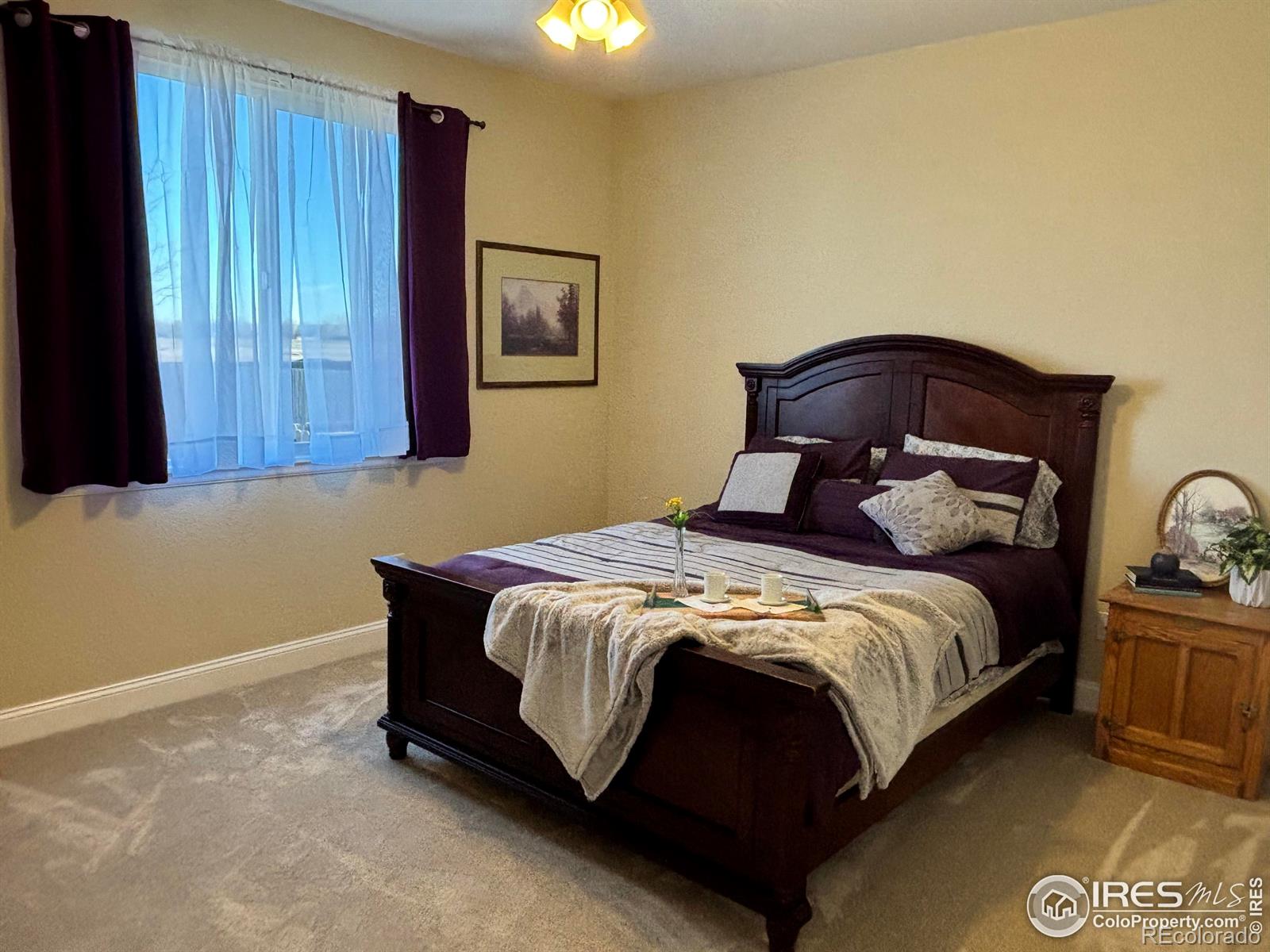 MLS Image #41 for 5965  thistle ridge avenue,firestone, Colorado